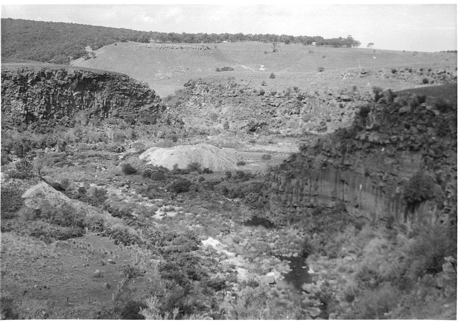 Looking down into a gorge walled with upright basalt columns, the river a pale rocky channel through scrub at the bottom, a white heap of old workings on one side and grazed paddocks rising to a tree line.